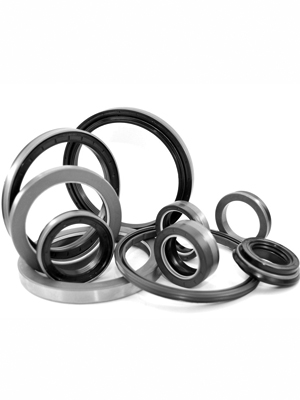 Oil Seals