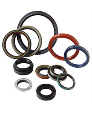 Oil Seals