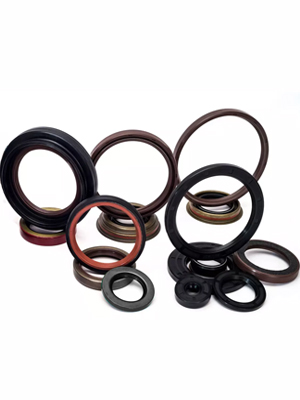 Oil Seals